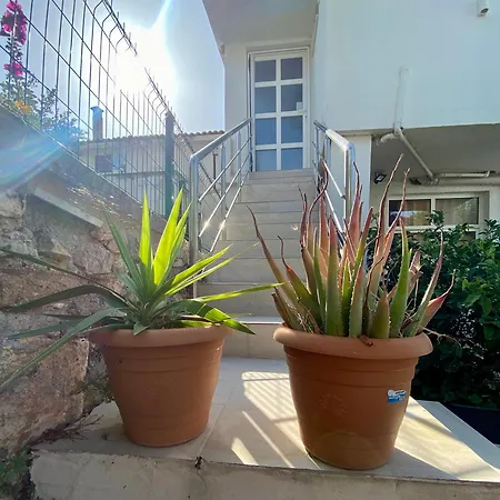 Σπίτι διακοπών Ninos Sea View Çeşme
